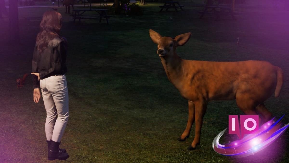 Can You Get Pets in inZOI? Discover All You Need to Know!