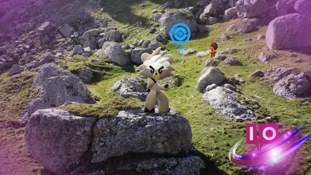 Exciting Hopes and Plans for Go Fest 2025: Trainers Unite!