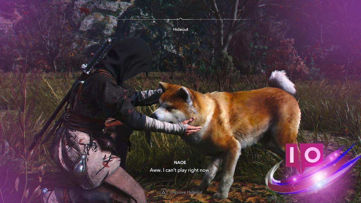 Guide to Adopting Pets in Assassin’s Creed Shadows
