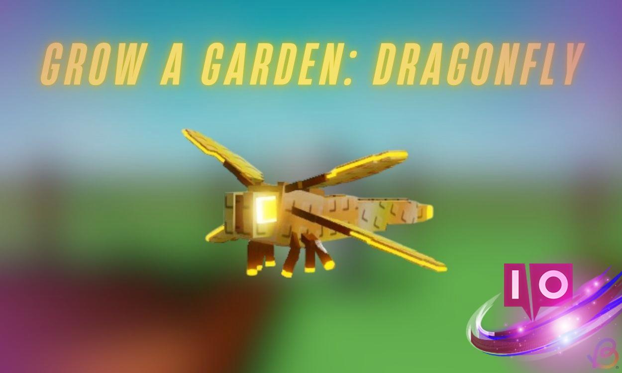 How to Obtain the Dragonfly in Grow a Garden on Roblox