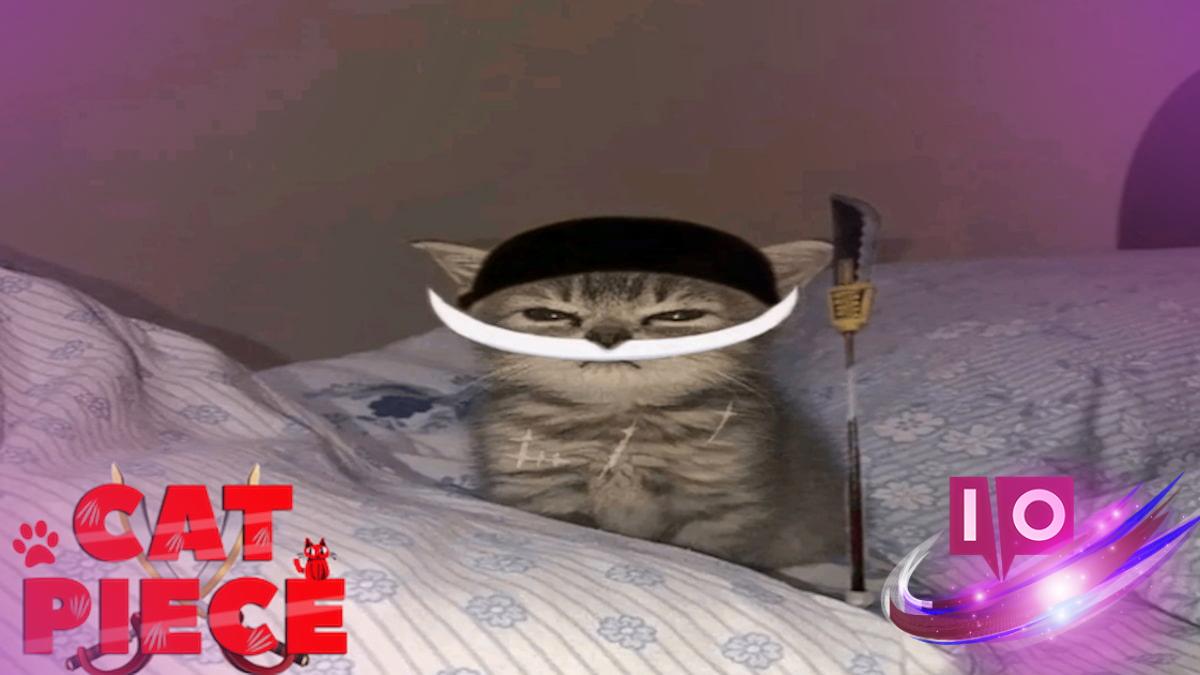 Cat Piece Codes for June 2025: Unlock BERU BOSS Secrets!