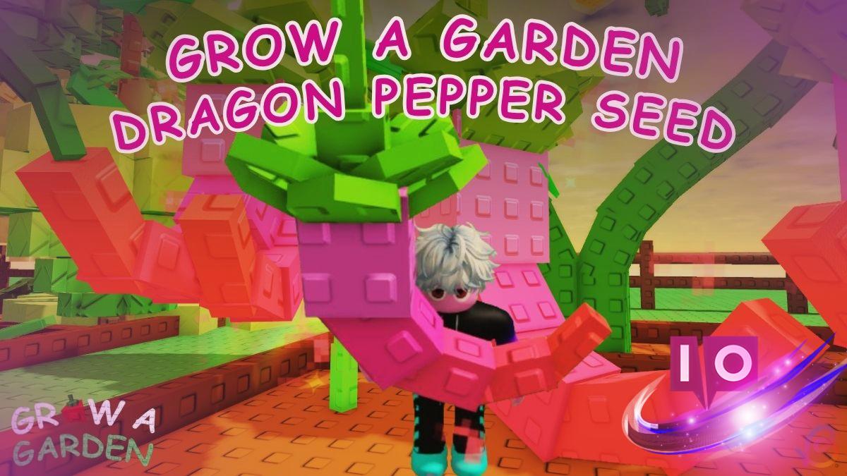 How to Obtain Dragon Pepper in Grow a Garden Roblox