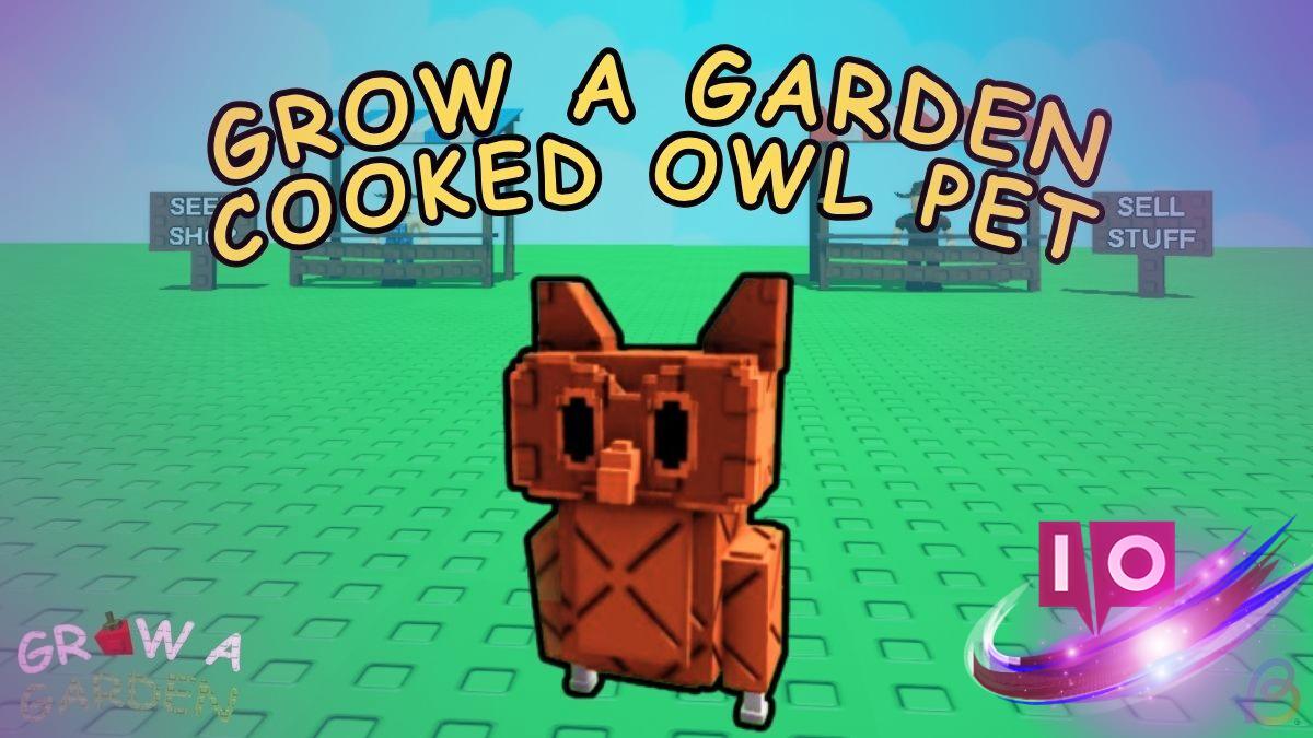 How to Obtain the Cooked Owl Pet in Grow a Garden