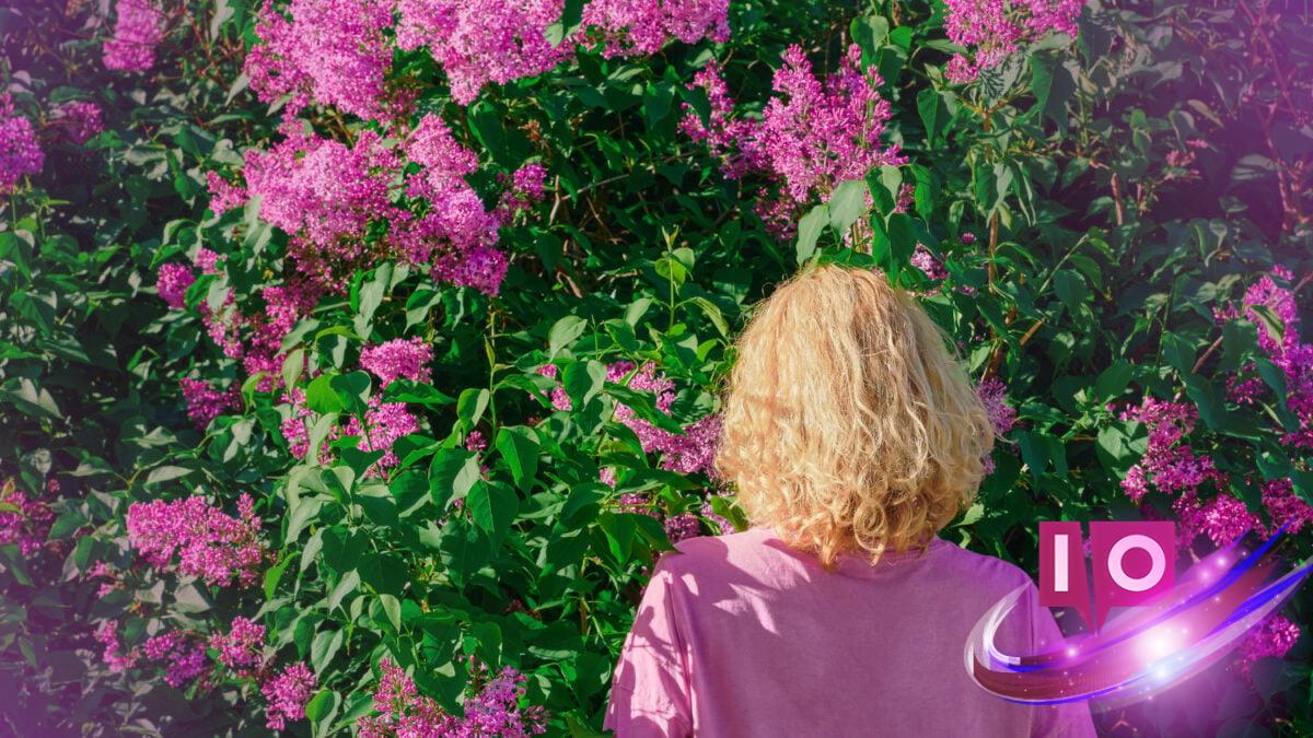 Why Humans Outshine AI in Understanding Flowers