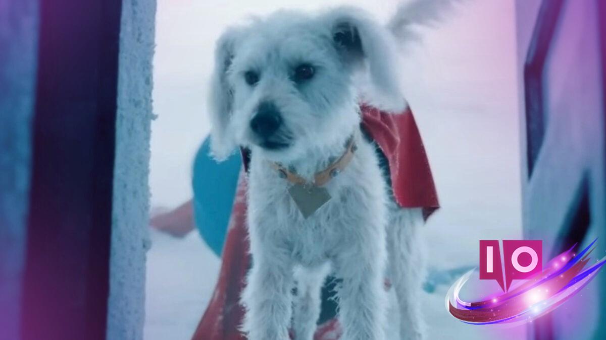 Embrace Your Superdog: Krypto’s ‘Superman’ Spotlight Inspires Adoption