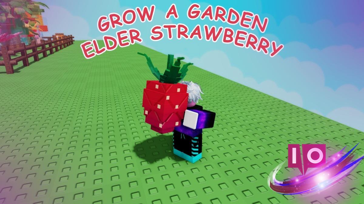 How to Grow Elder Strawberry in Your Garden: A Step-by-Step Guide