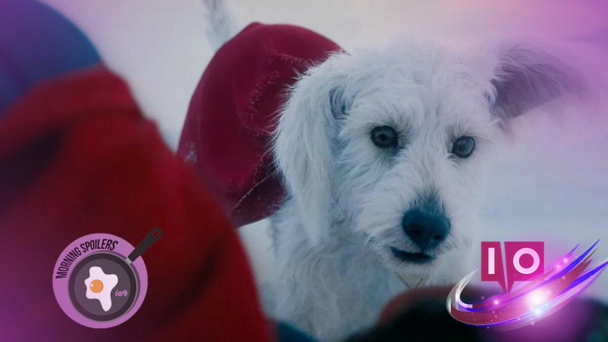 No Dog Punching Allowed in Upcoming 'Superman' Film