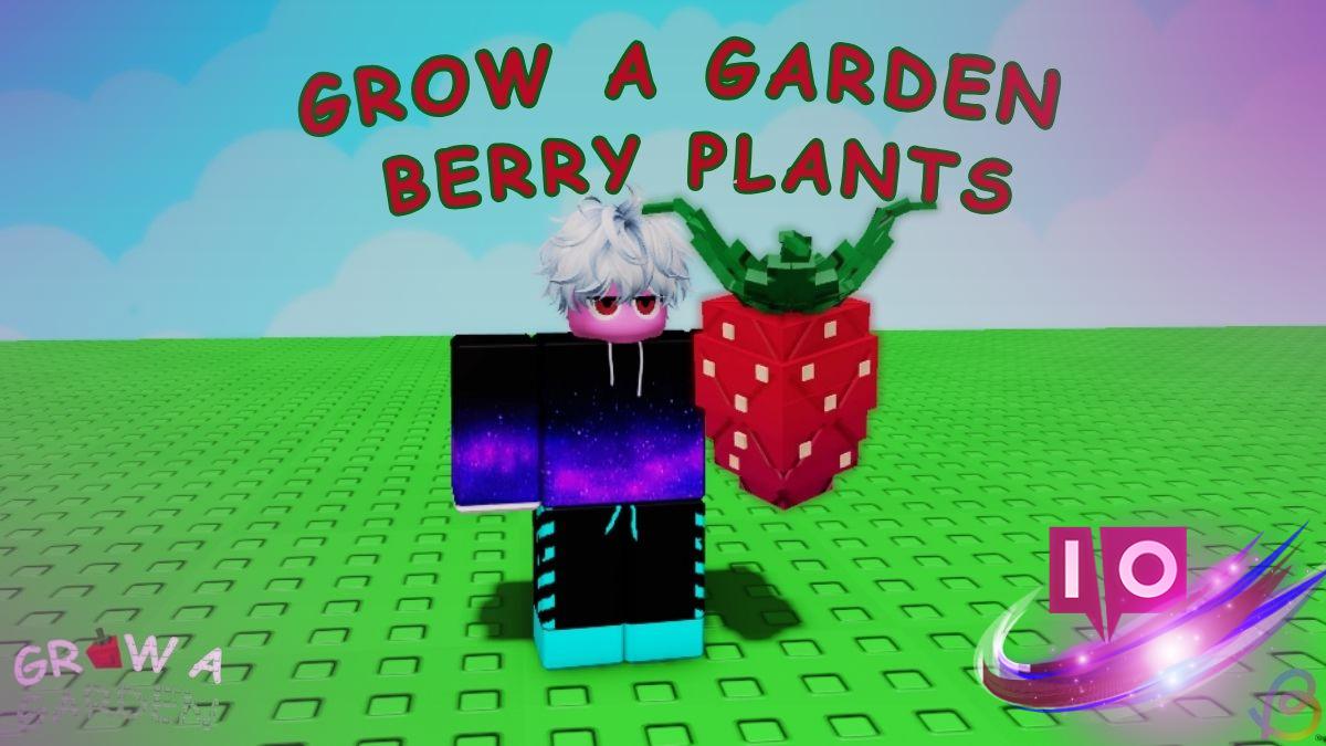Complete Guide to Berry Plants for Your Garden: Buy & Grow Tips