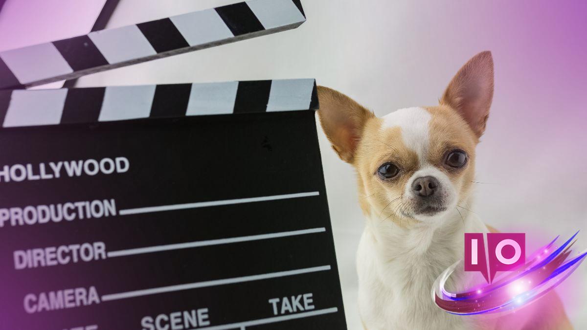 10 Best Dog Movies That Will Tug at Your Heartstrings (98% RT!)