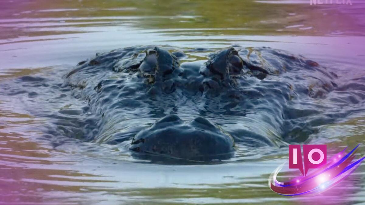 Blumhouse’s ‘Nightmares of Nature’: Netflix's Bold New Horror Series