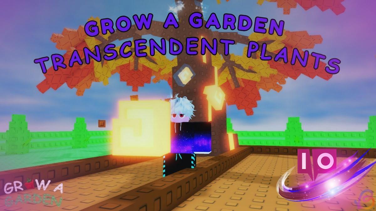 Complete Guide to Transcendent Plants for Your Garden