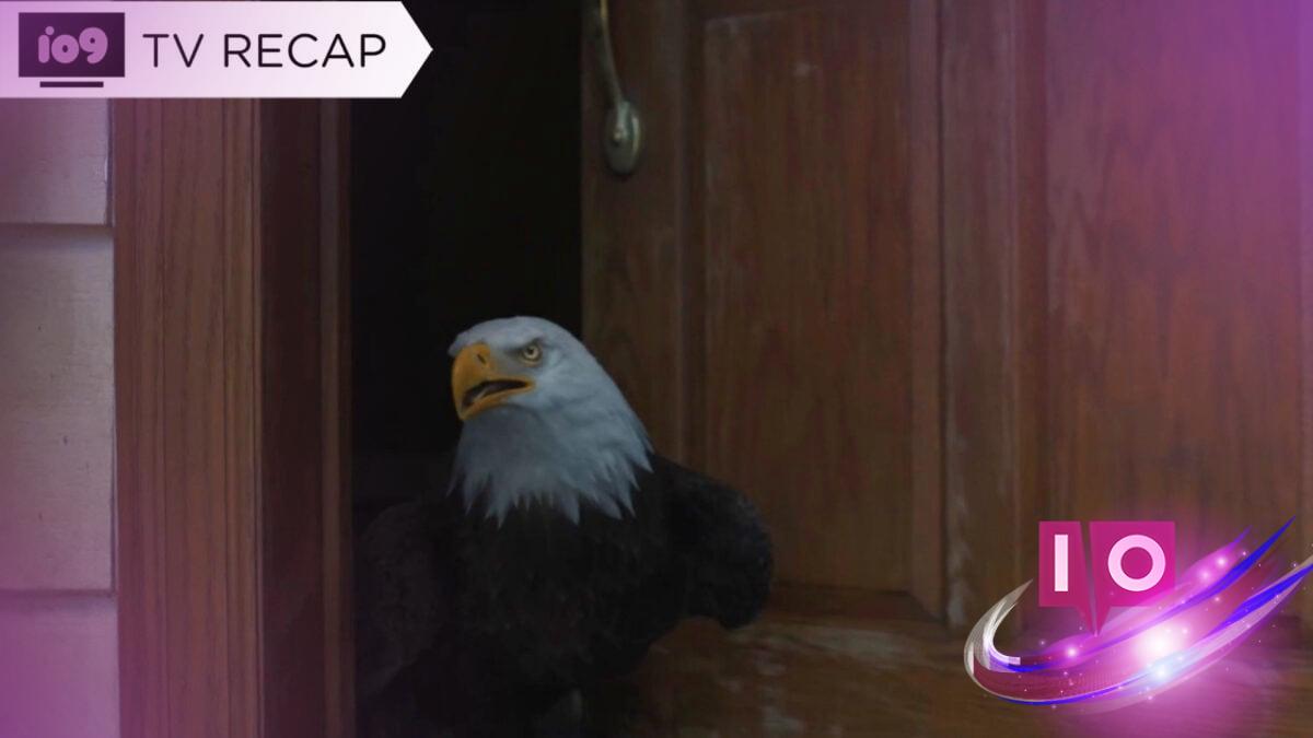 Peacemaker's Best Boy Shines in Epic Hero Moment