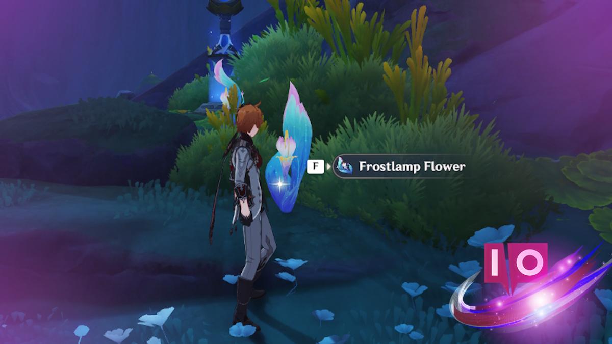 Ultimate Guide to Genshin Impact Frostlamp Flower Locations & Routes