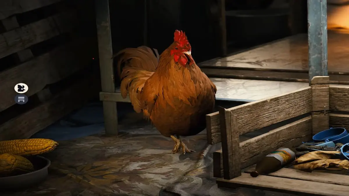 Find ARC Raiders Dog Collar Location: Ultimate Guide for Pet Owners