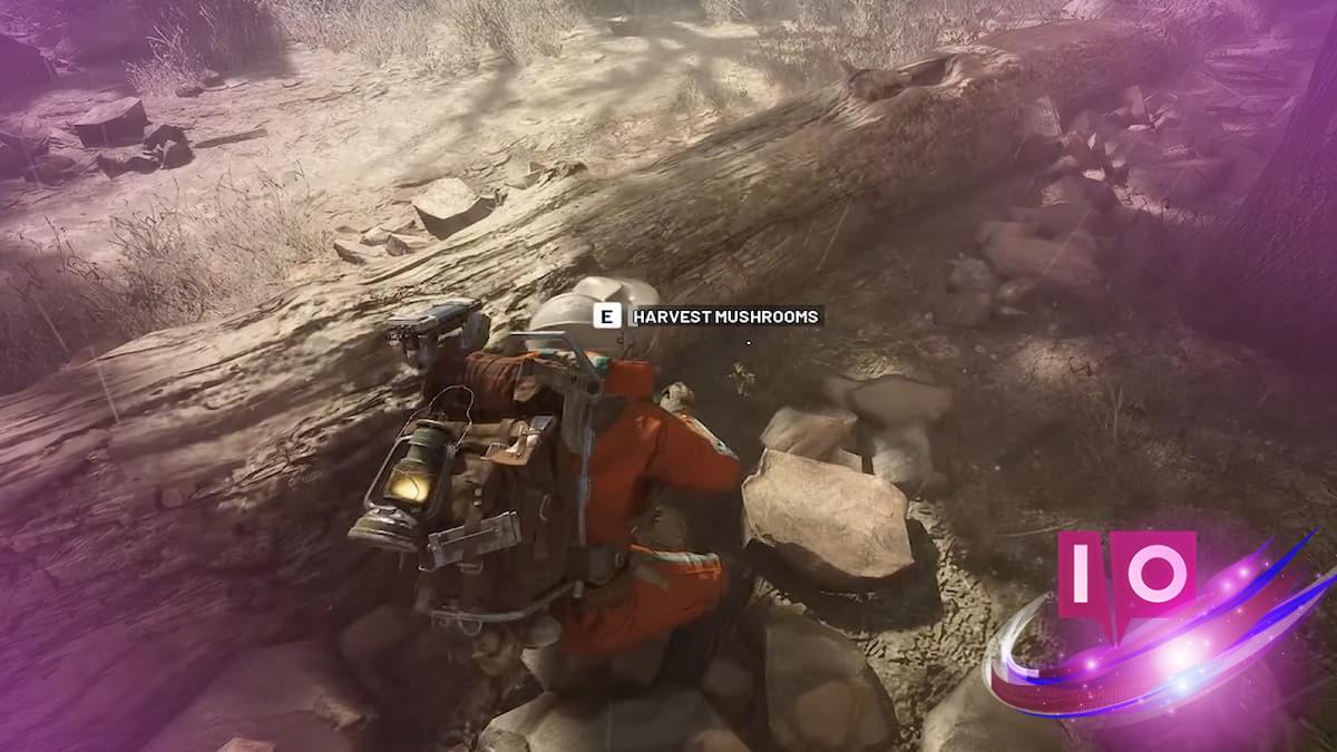 Mastering Mushrooms and Pillows in ARC Raiders: A Complete Guide