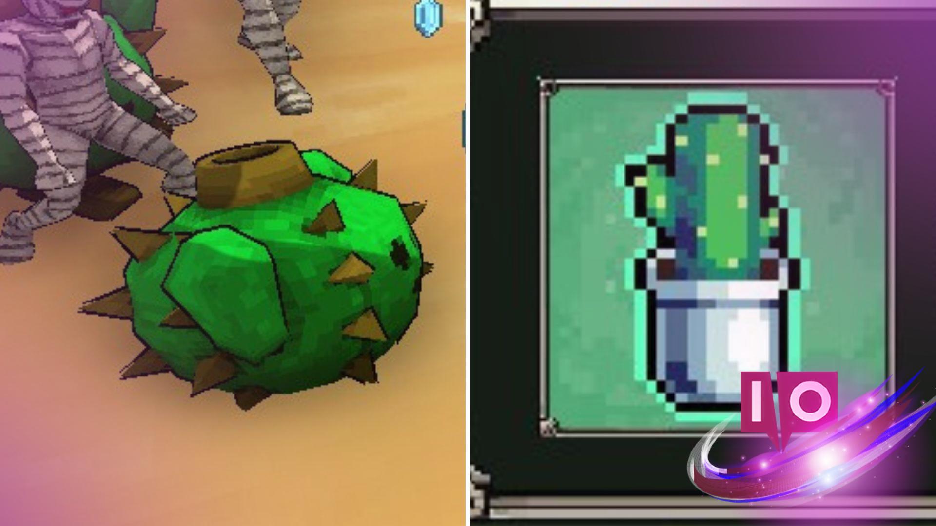 Ultimate Thorns Build for Cactus Quest in Megabonk