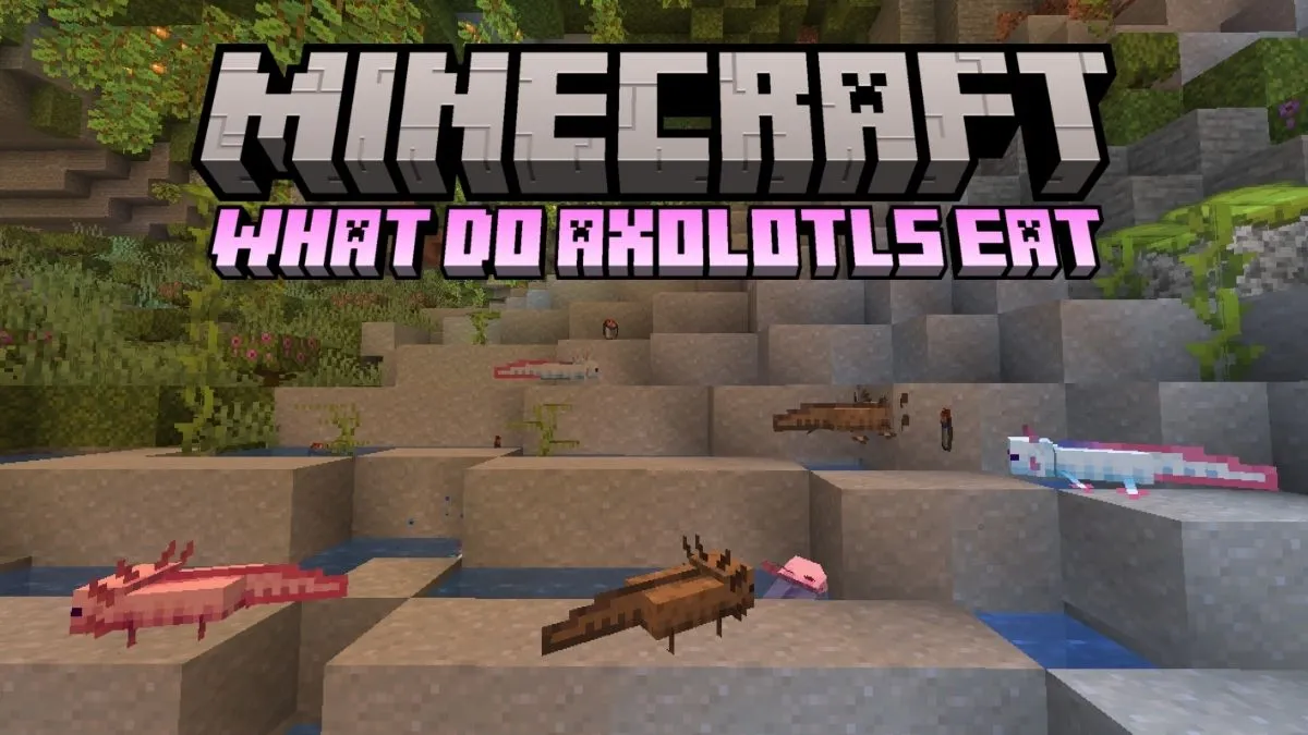 What Axolotls Eat in Minecraft: A Complete Guide