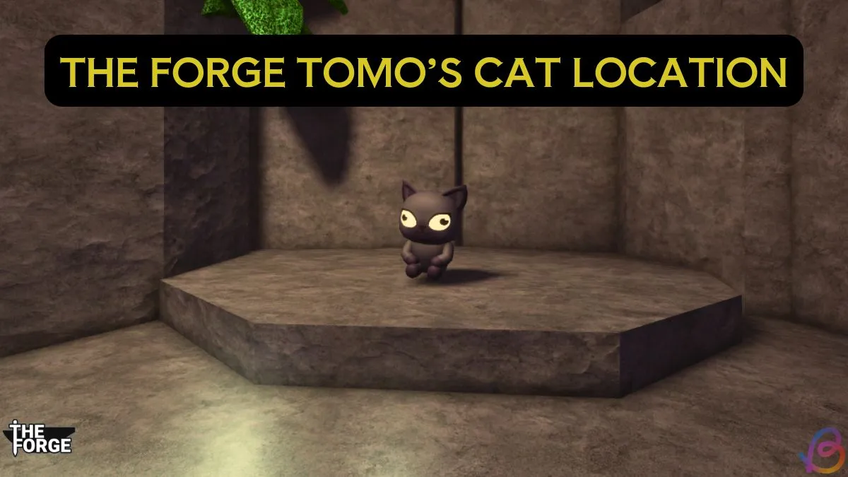 Find Tomo's Cat in The Forge: Complete Location Guide