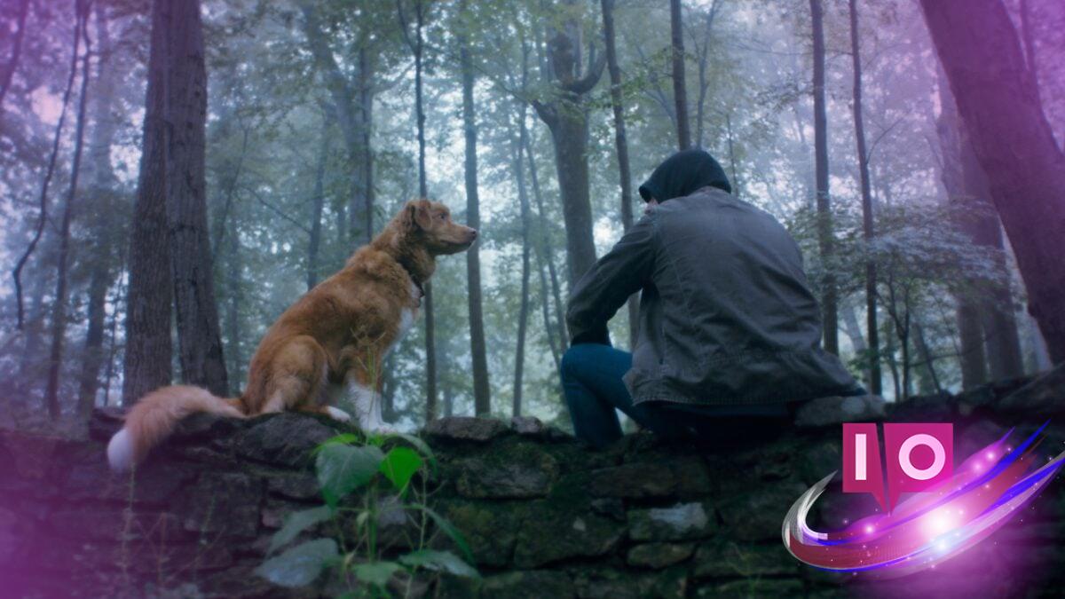 Good Boy: Canine Horror Hits Shudder with Spine-Chilling Heroics