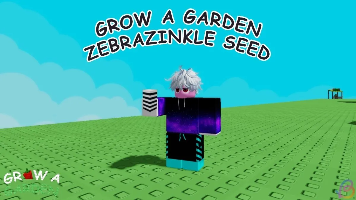Guide to Finding Zebrazinkle Seed in Grow a Garden