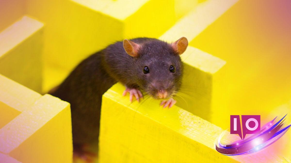 Why ChatGPT Avoids NYT Links: Legal Risks and Implications