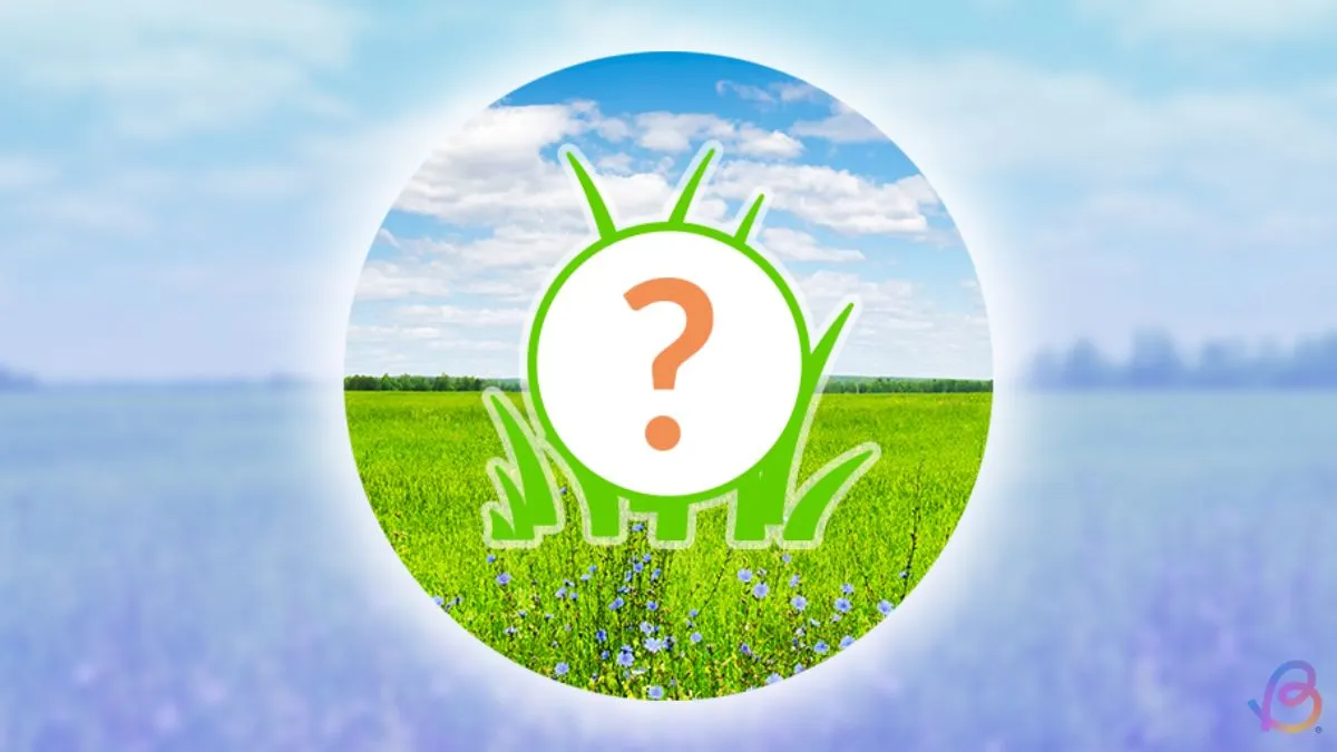 December 2025 Pokémon GO Spotlight Hour Schedule: Key Dates & Tips