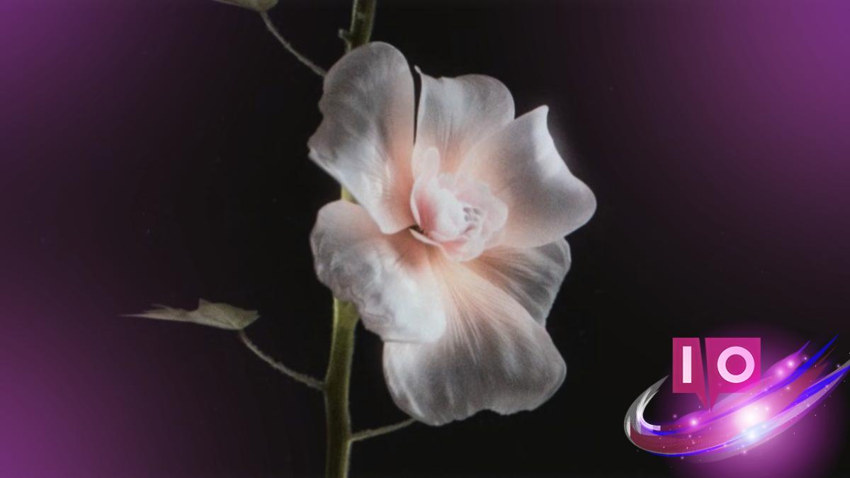 ROUTINE: Story and Ending Explained for Full Understanding