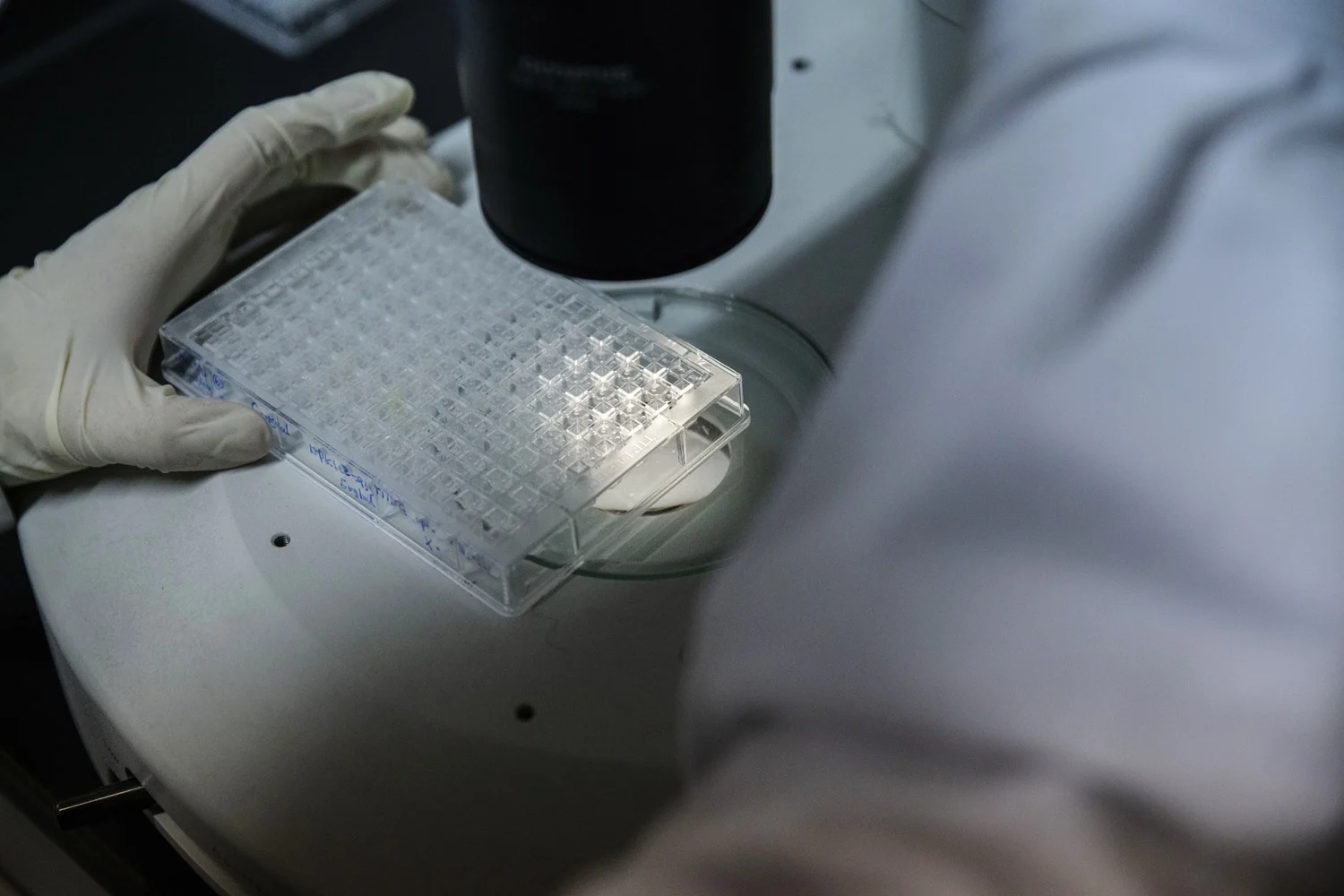 AI Erodes Science: Reliability Crisis in Publishing