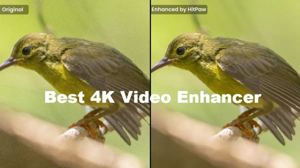 HitPaw VikPea AI Video Enhancer Review: Upscale, Denoise & Restore