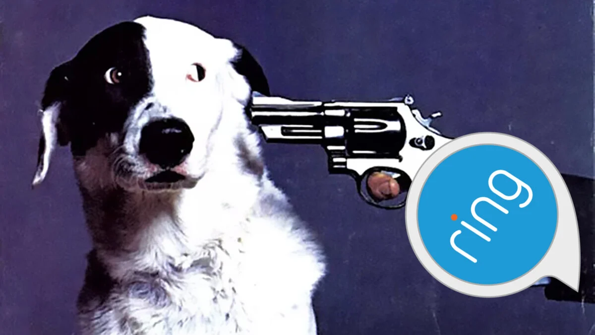 Ring's Puppy Ad: Washing Away Surveillance Concerns?