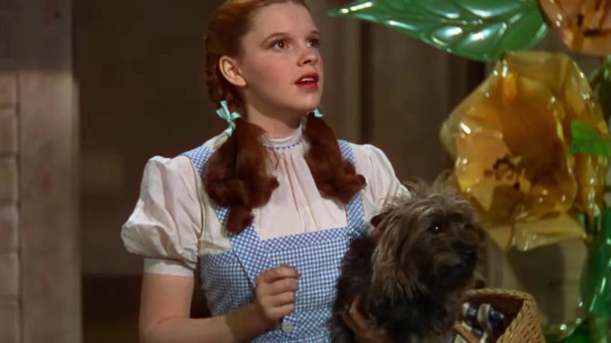Wizard of Oz to Air on TV for the First Time This Century on MeTV