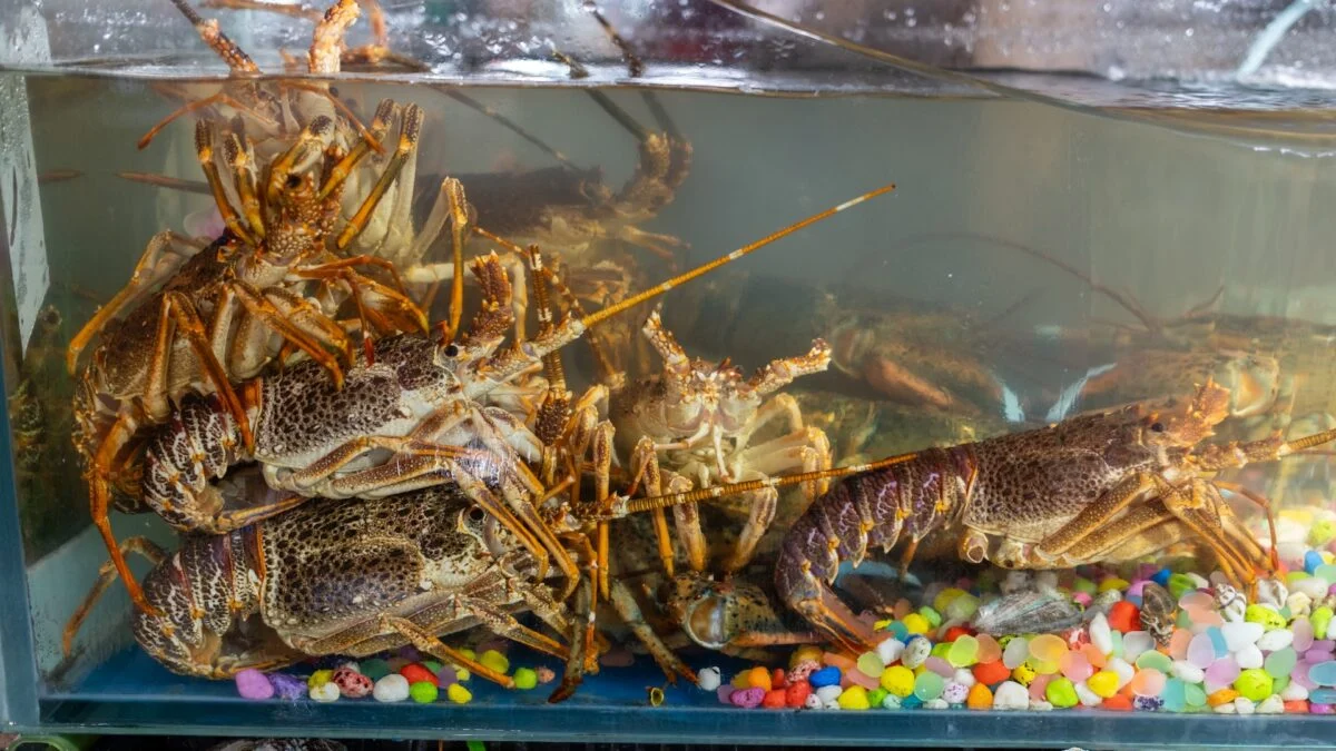 Tech Employees Evaluated by LLM Token Burn - A Misguided Metric