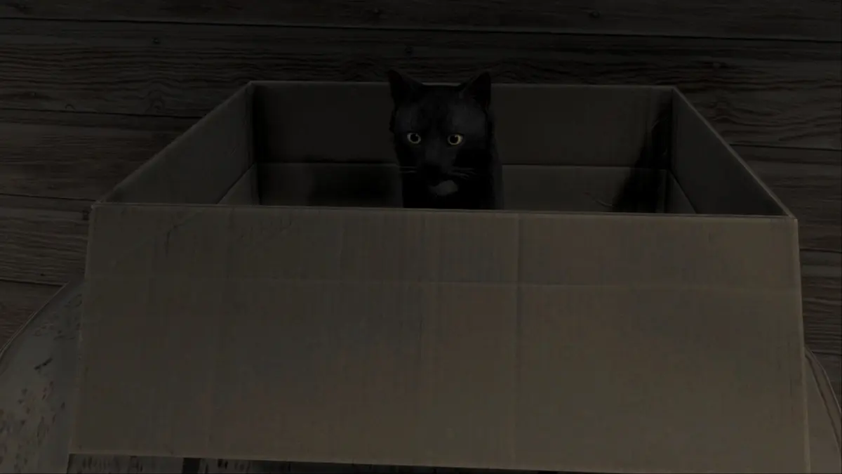 How to Get a Cat in Road to Vostok – Complete Guide