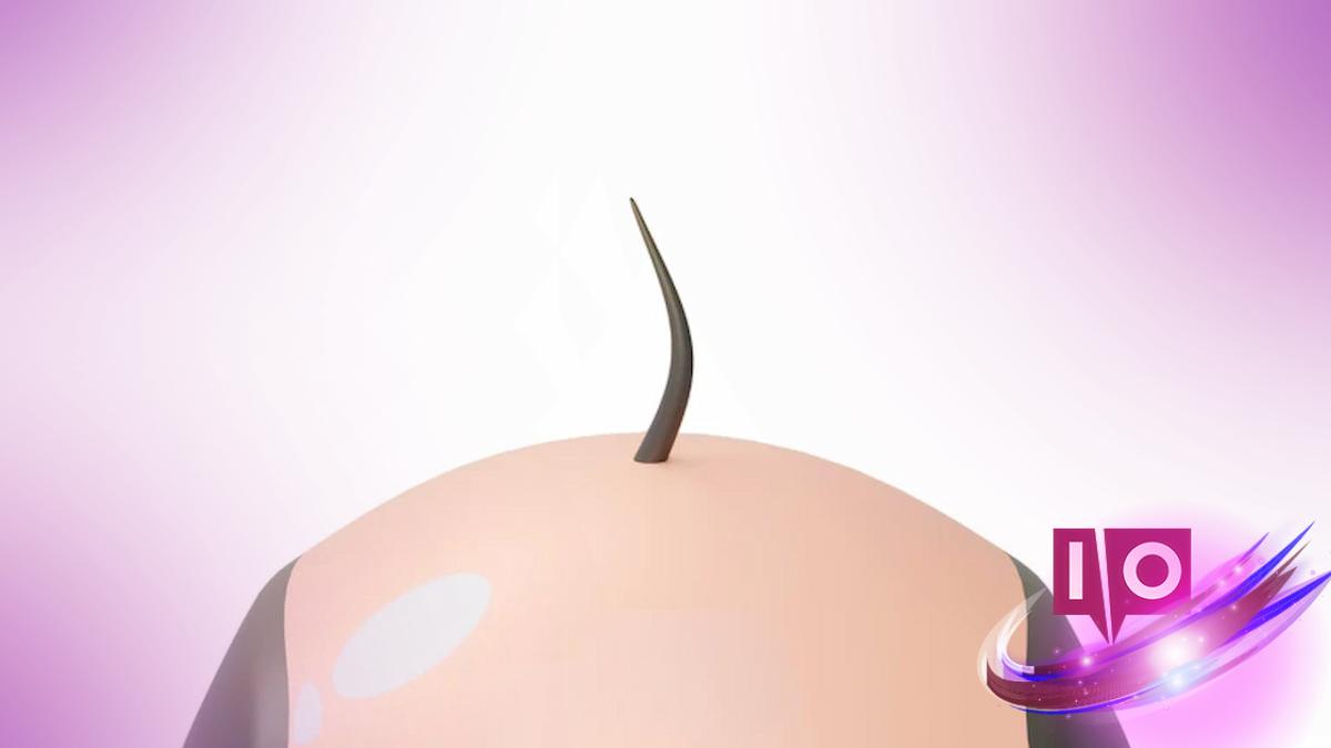 Be A Hair Codes May 2026: Active Promo Codes & How to Redeem