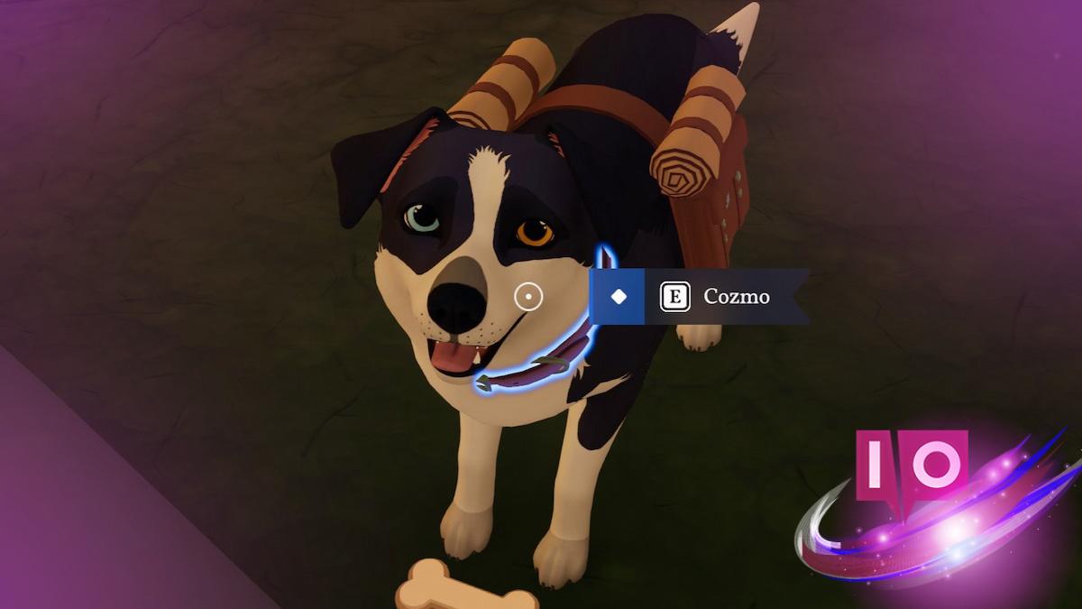 How to Get a Dog in Outbound: Step-by-Step Guide