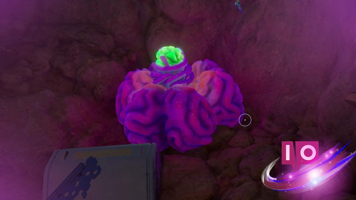 Where to Find Acidic Raion Pouch in Subnautica 2