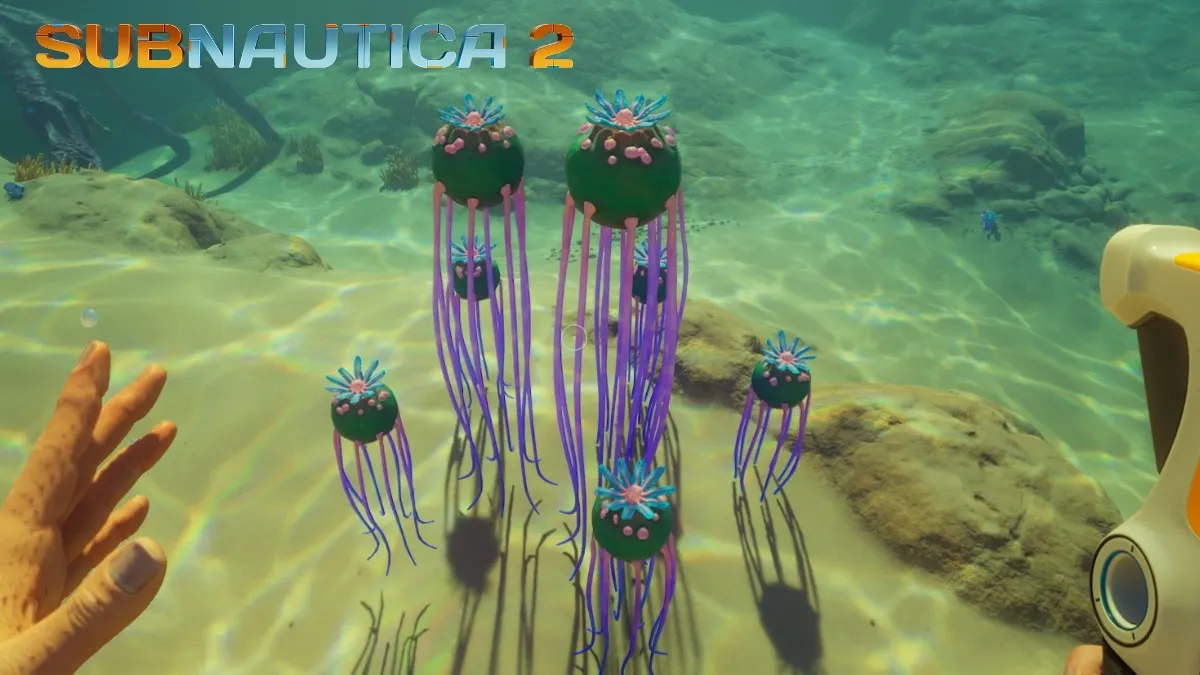 Where to Find Necrolei Cysts in Subnautica 2 — Best Locations