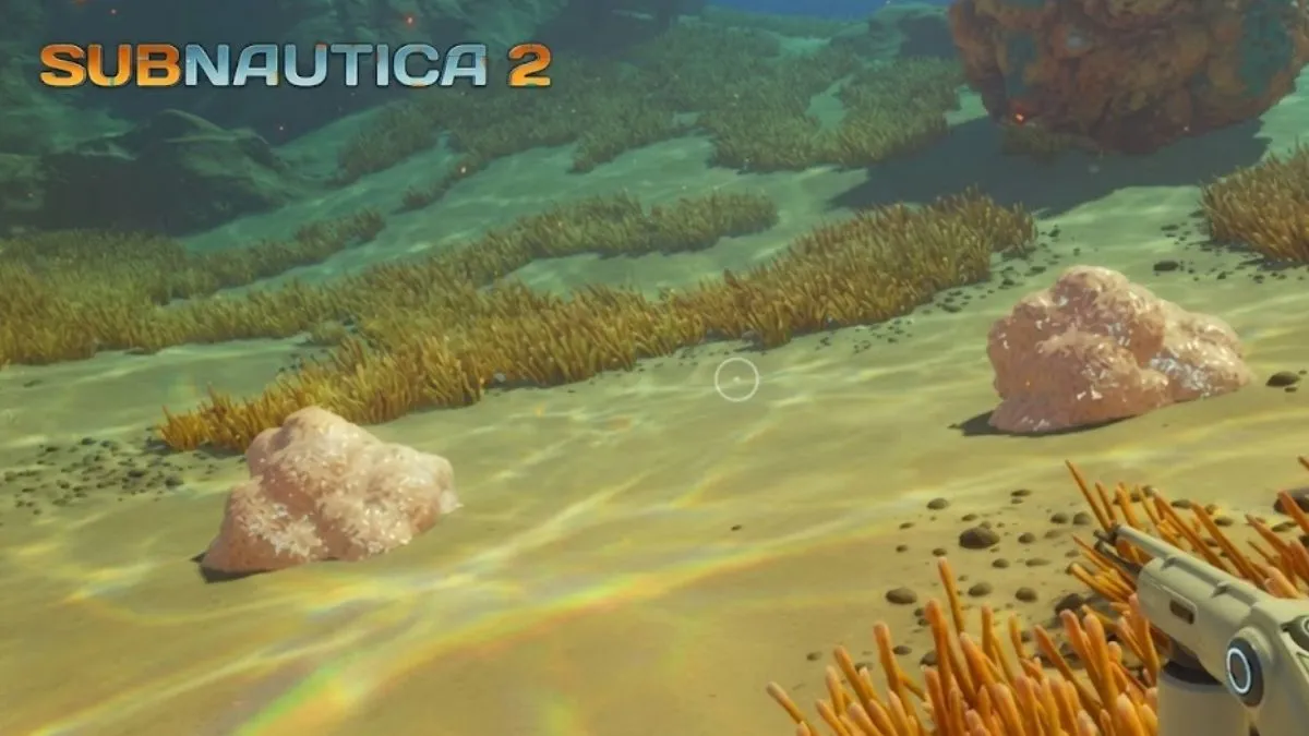 Where to Find Salt in Subnautica 2: Locations & Tips