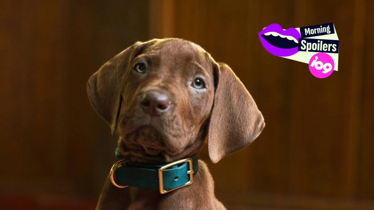 Netflix’s Live-Action Scooby-Doo Dog: Ari Aster’s Hereditary Prequel