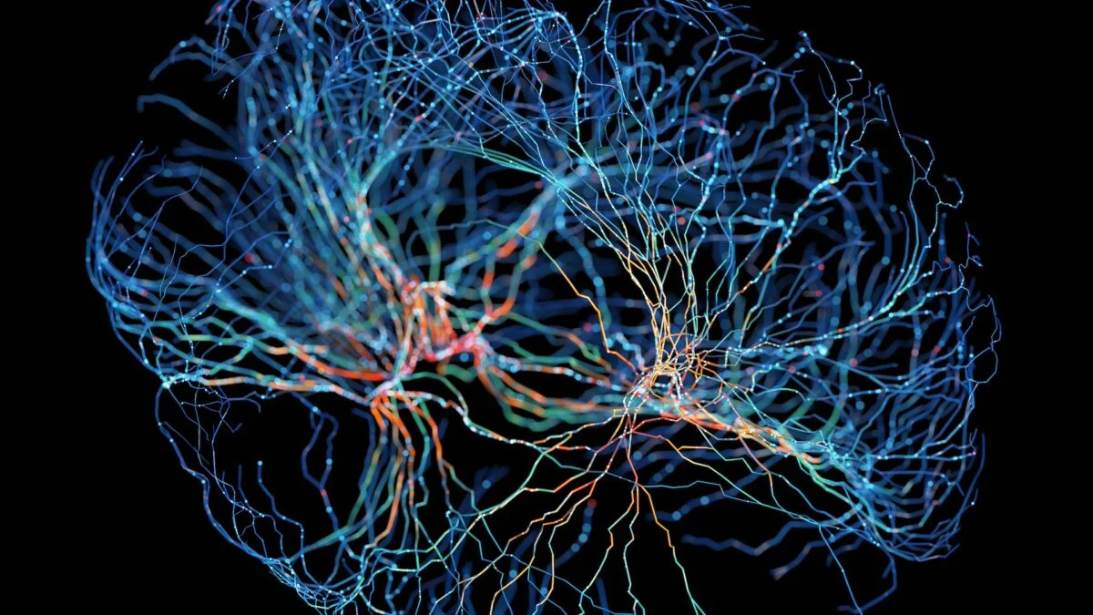 China Debuts NEO: First Commercial Brain-Computer Interface Implant