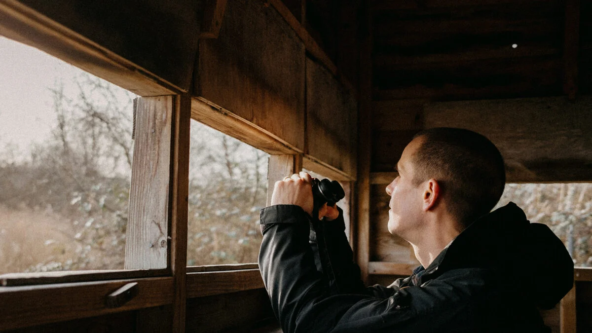 How AI Is Ruining Birdwatching: Risks to Wildlife and Hobbyists