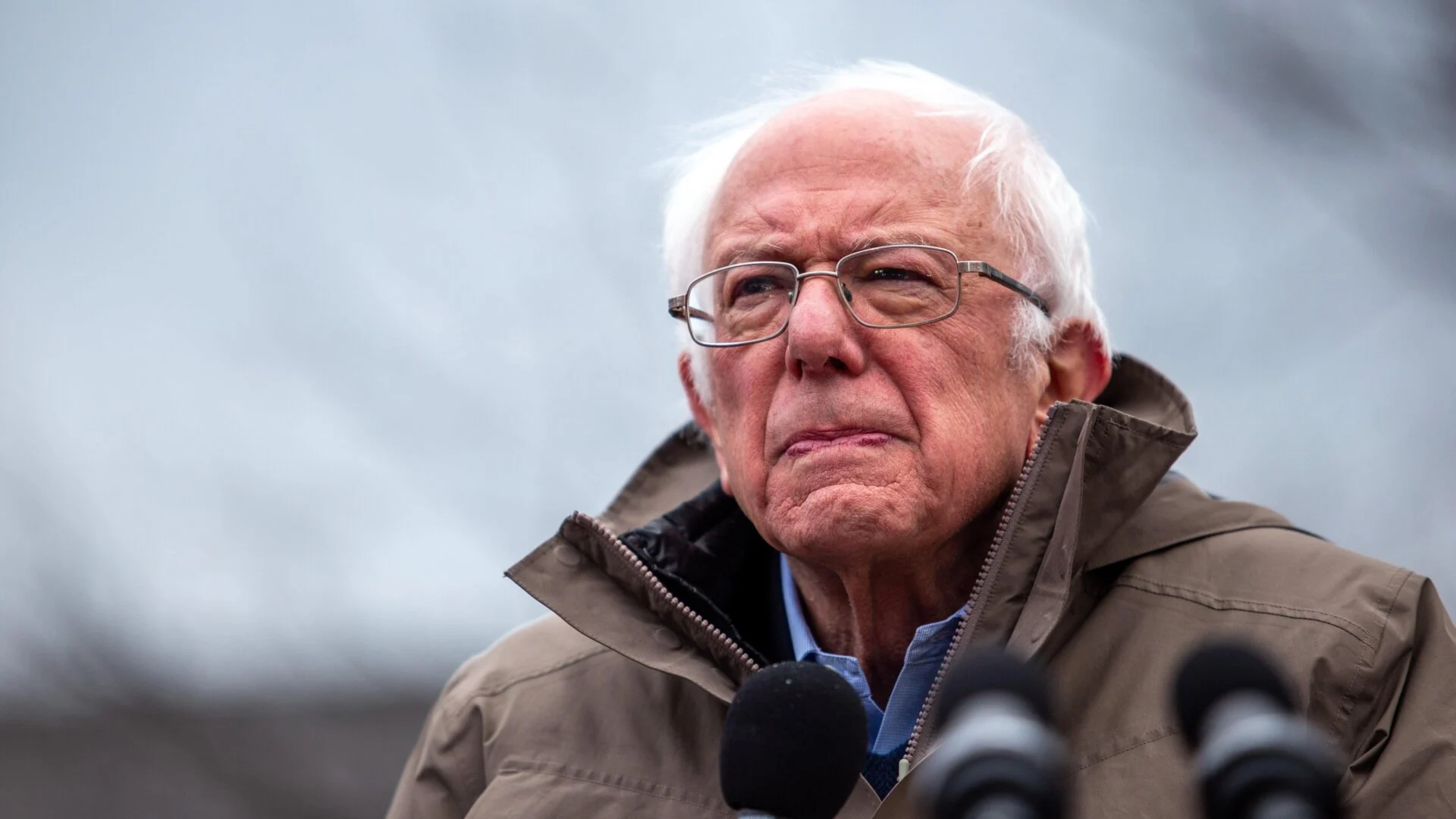 Poll: Over Two-Thirds Back Bernie Sanders' AI Stock Ownership Plan