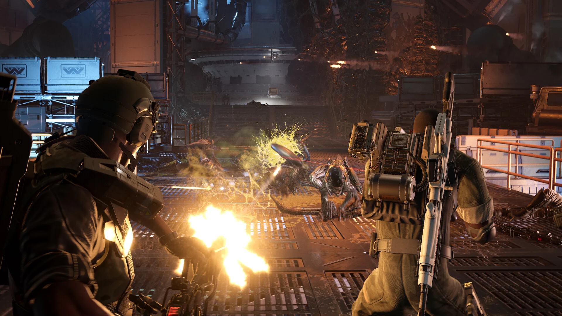 Aliens: Fireteam Elite 2 Release Countdown — Exact Date & Time
