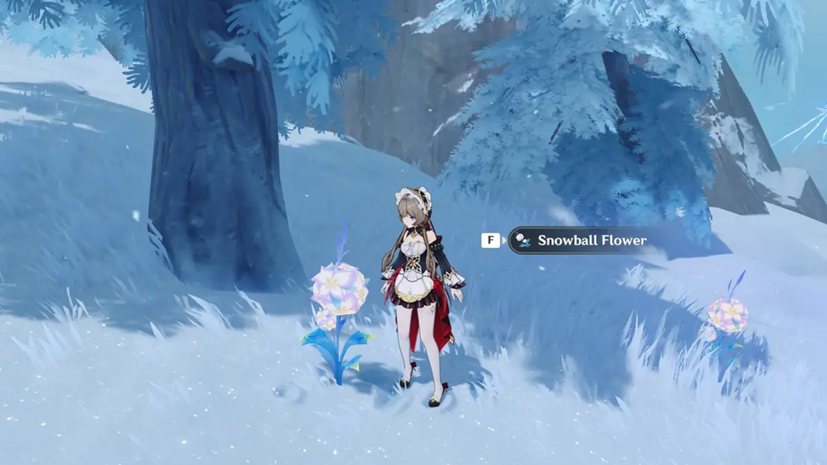 Genshin Impact Snowball Flower Guide: Locations & Farm Route