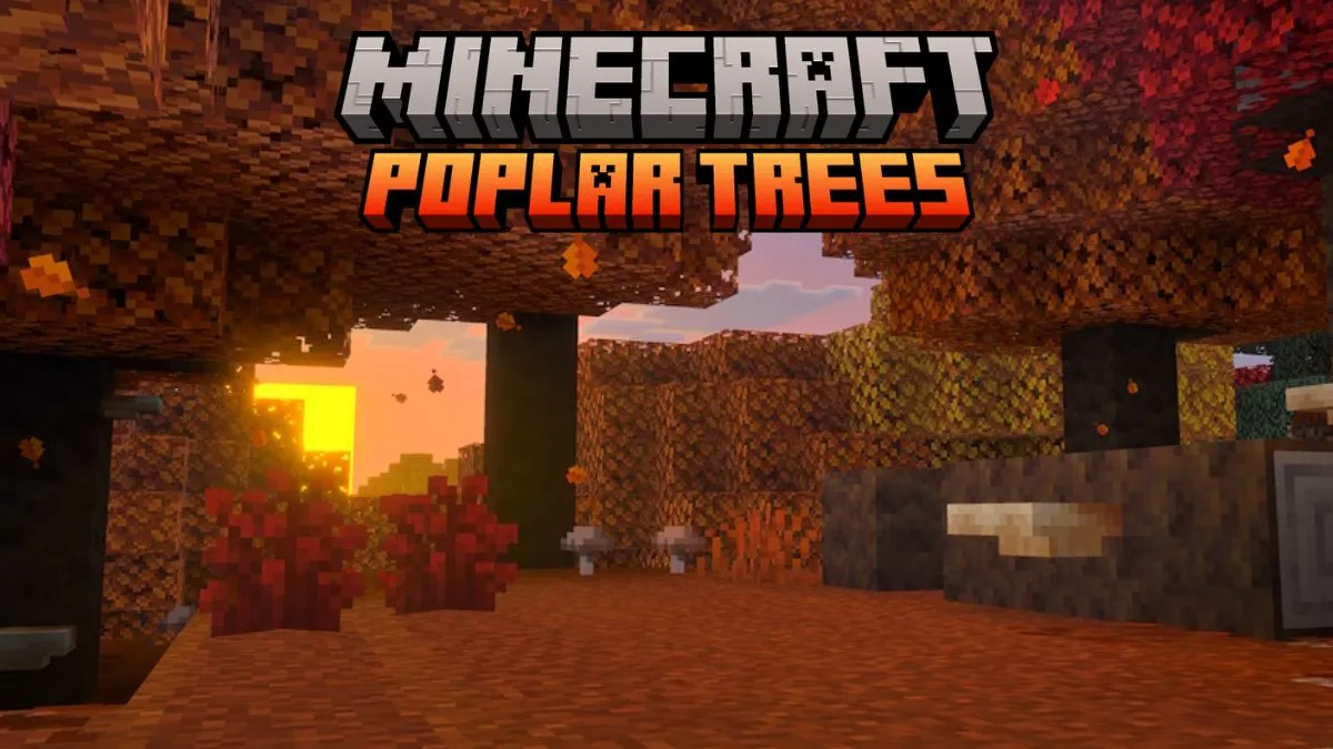 How to Find Poplar Trees & Use New Wood in Minecraft