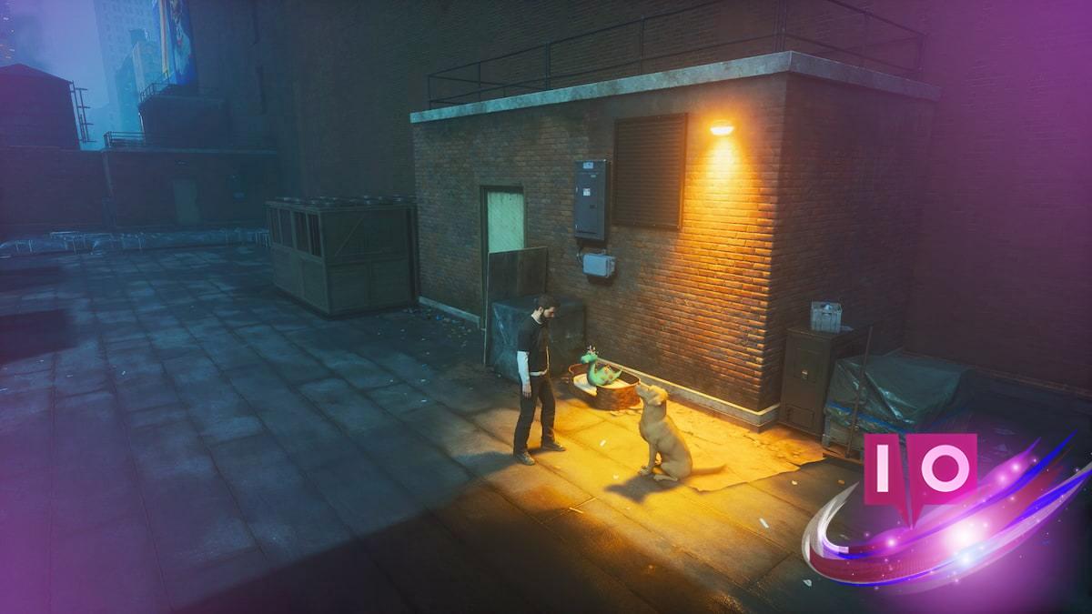How to Help the Mysterious Dog in Control: Resonant Guide