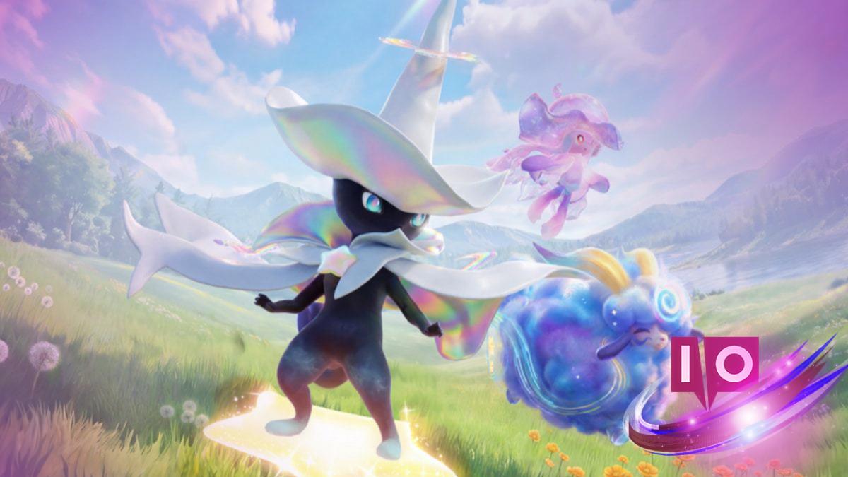 Prismana Pact Aniimo: Which Is Right for You?