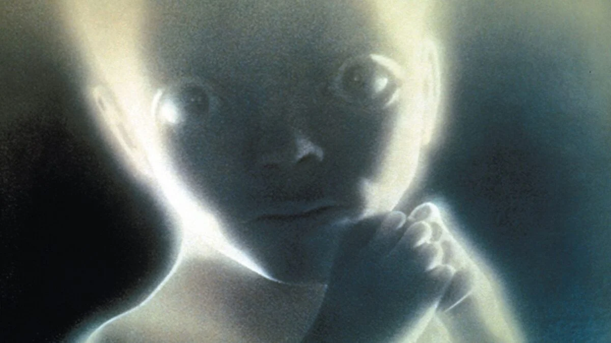 Stanley Kubrick Estate Auctions Iconic Props: Jack's Axe to 2001 Baby